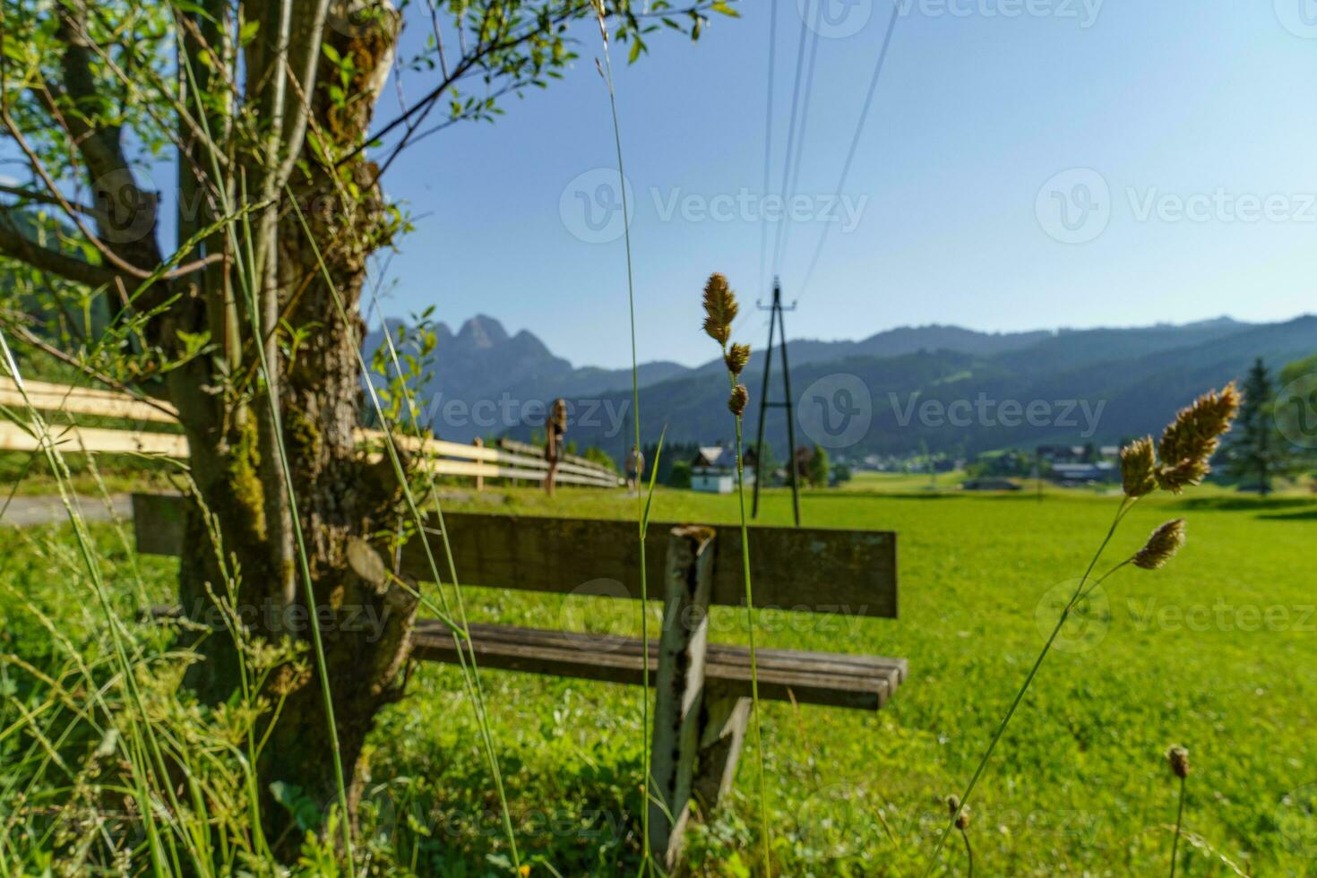 Sommer- Zeit im wunderschön Österreich foto