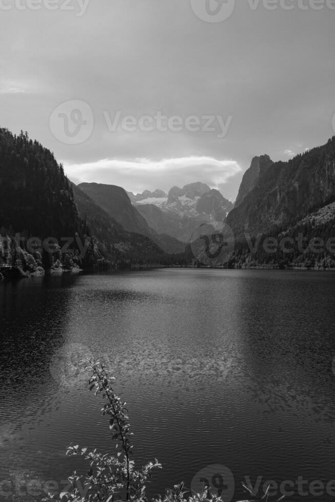 Sommer- Zeit im Österreich foto