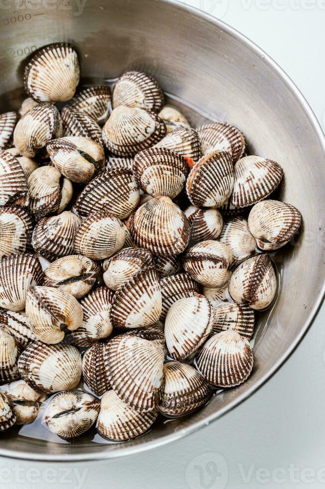 frisch Meeresfrüchte Herzmuscheln im ein Schüssel foto