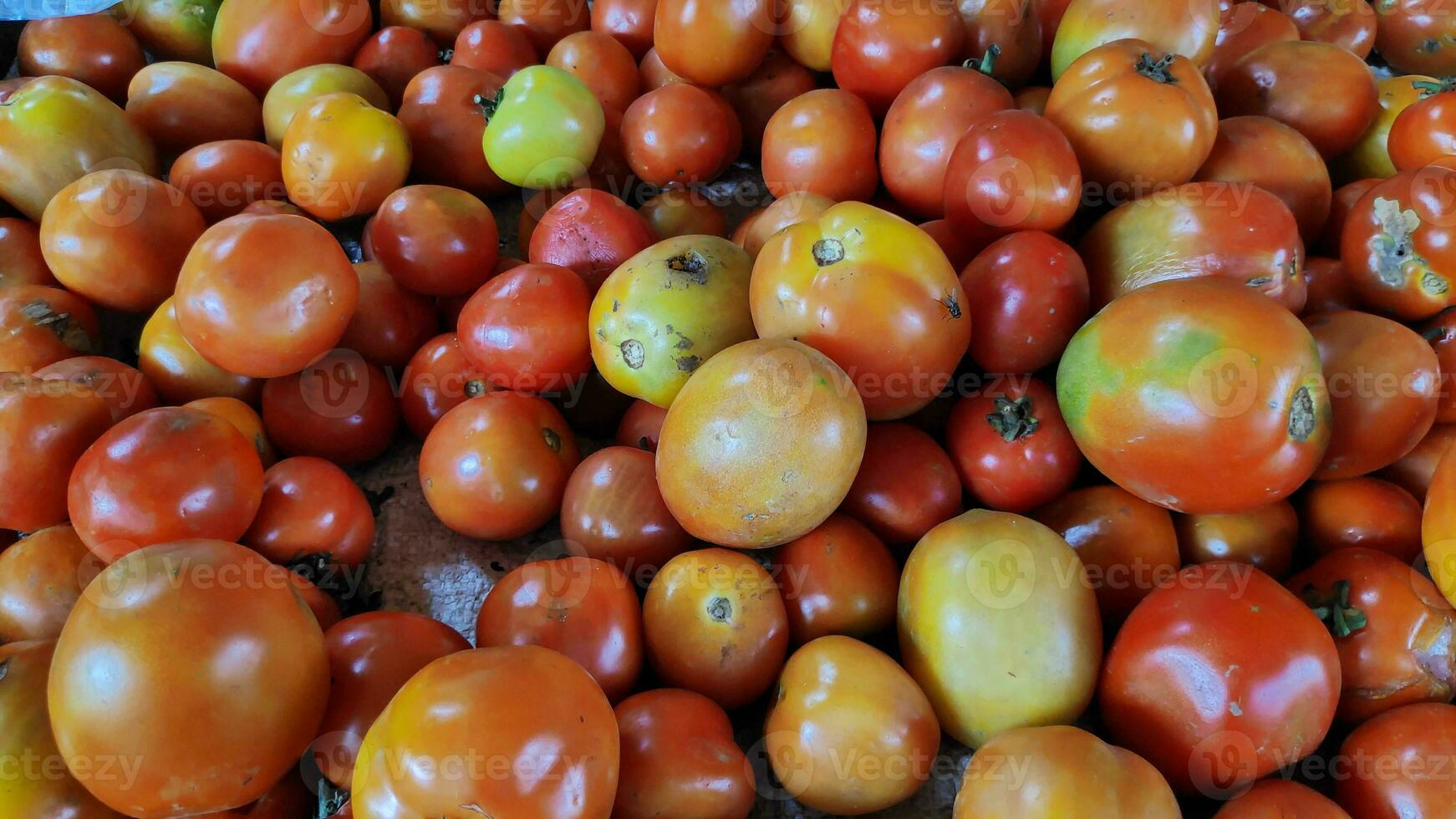 Haufen von Tomaten im Behälter verkauft im traditionell Märkte foto