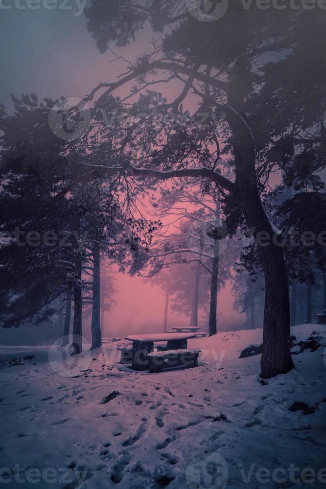 Winter in den Bergen in der Wintersaison foto