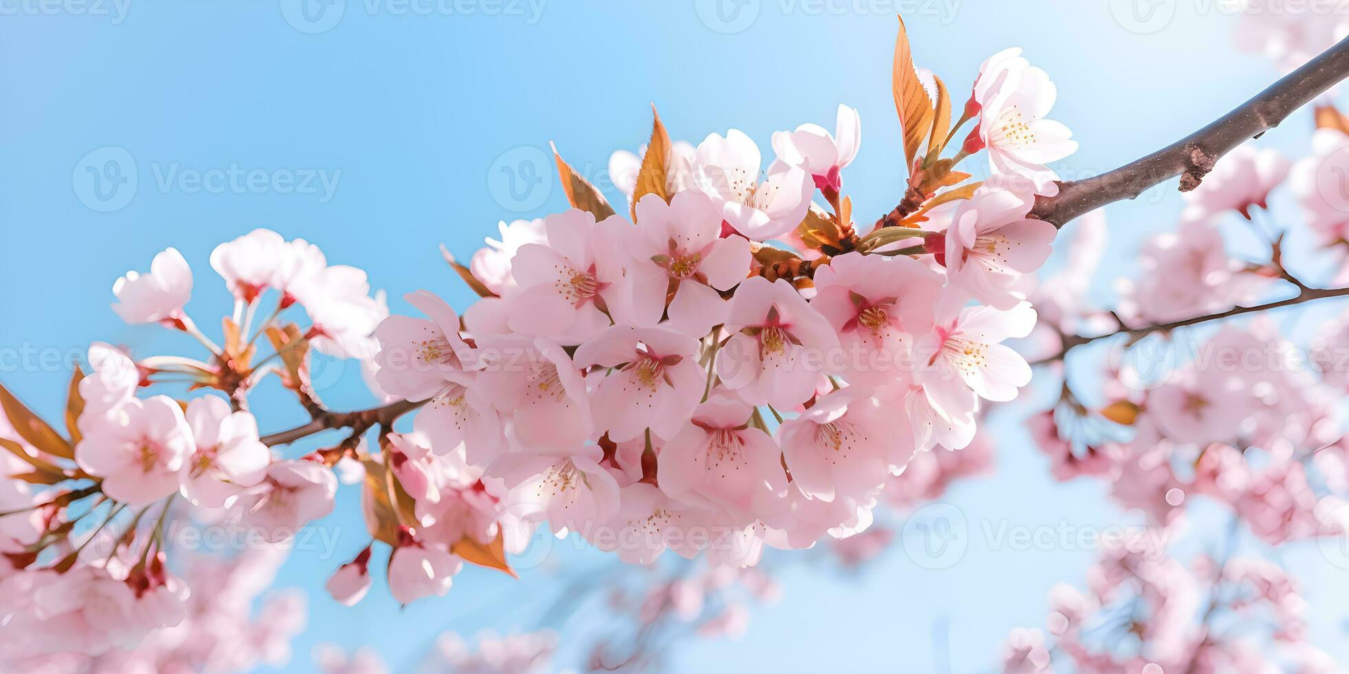 Rosa Kirsche blühen im Frühling Jahreszeit, ai generieren foto