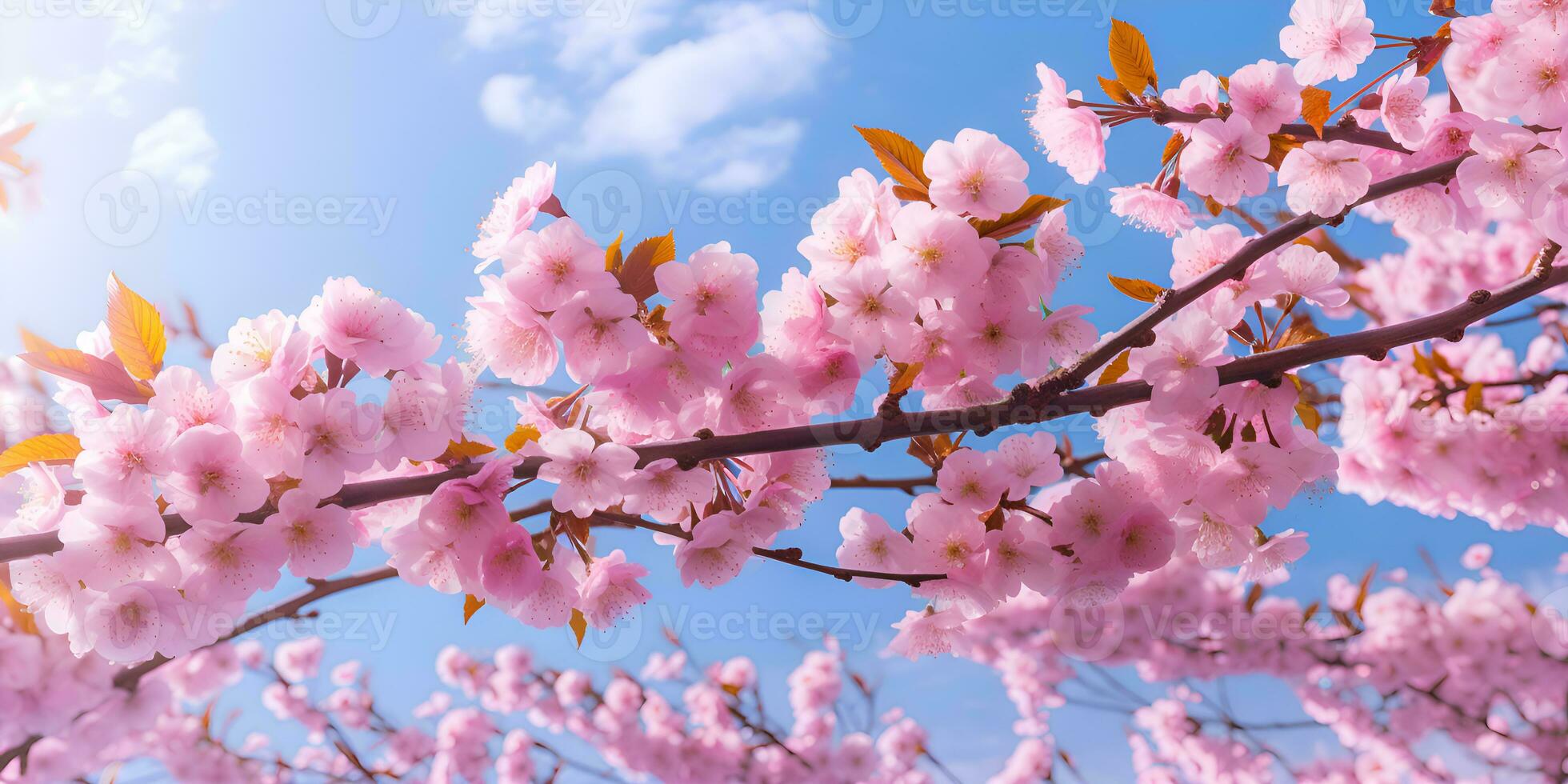 Rosa Kirsche blühen im Frühling Jahreszeit, ai generieren foto