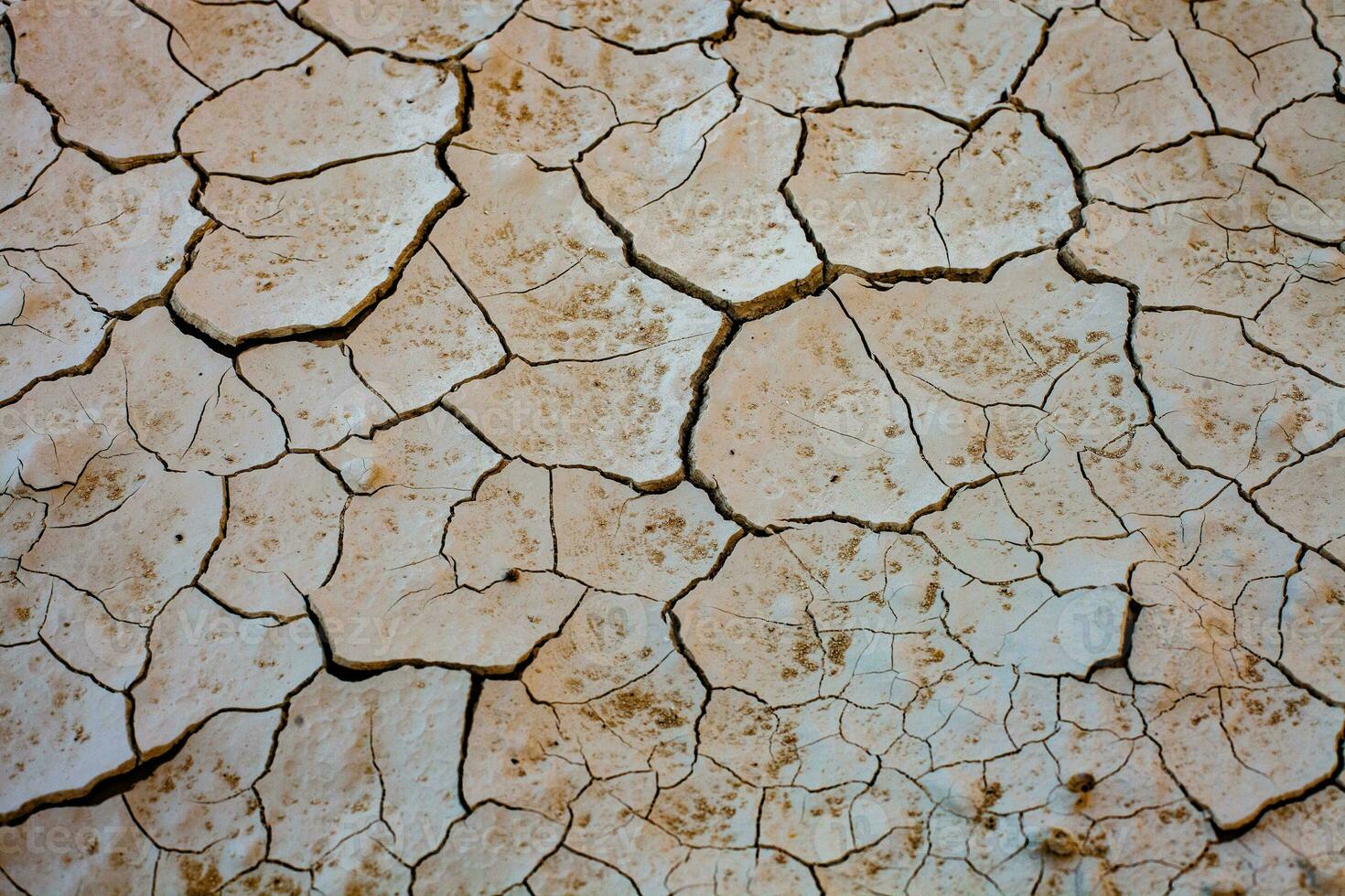 trocken geknackt Erde Hintergrund. global Erwärmen und Klima Veränderung Konzept. foto