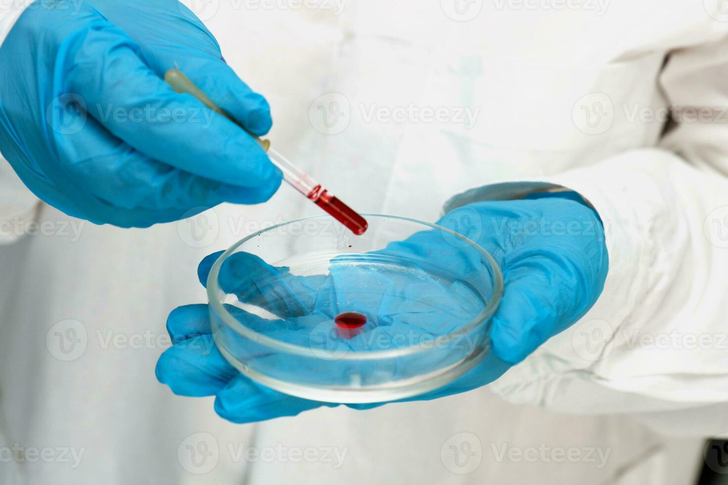 ein Mann im ein Weiß Mantel tropft rot Flüssigkeit von ein Pipette in ein Petri Gericht foto