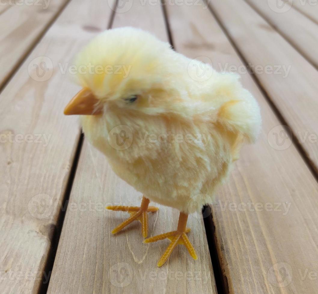 Huhn auf den Brettern zwei foto