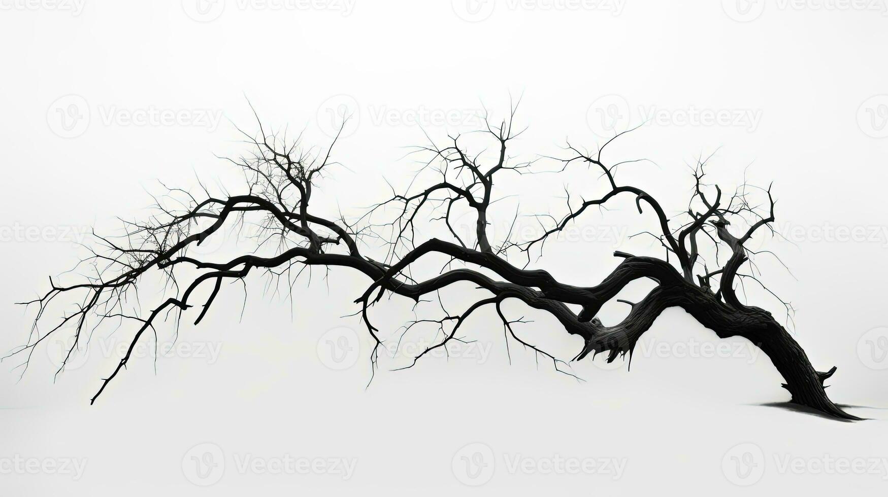 tot Baum Silhouette auf Weiß Hintergrund foto