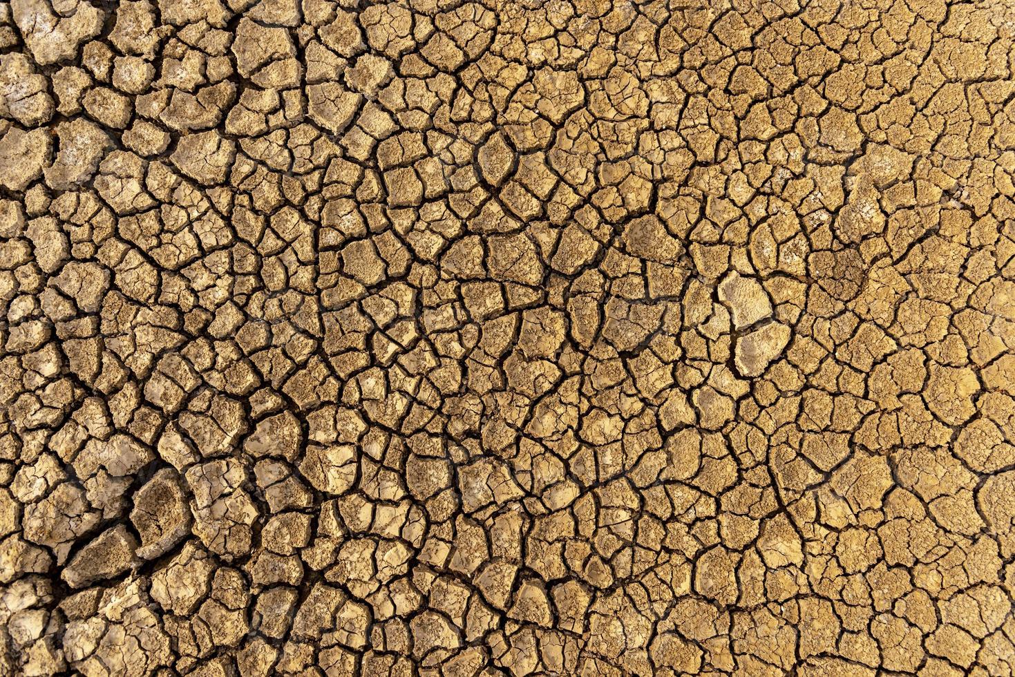 das Konzept der natürlichen Dürre der Umwelt auf der Erde trockener Boden, rissiger Boden mit Bodenerosion wird rot, der nicht landwirtschaftlich ist foto