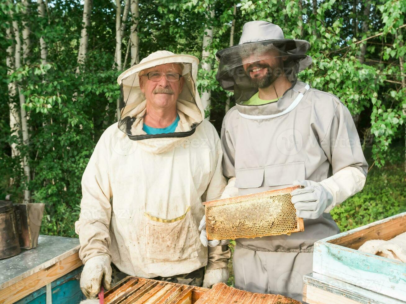 Porträt von zwei männlich Imker Arbeiten im ein Bienenhaus in der Nähe von Bienenstöcke mit Bienen. sammeln Honig. Imker auf Bienenhaus. Bienenzucht Konzept. foto