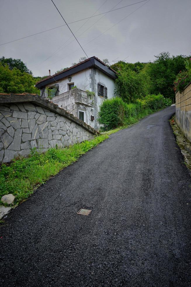 Straße mit grüner Vegetation im Wald, Bilboa Spanien foto