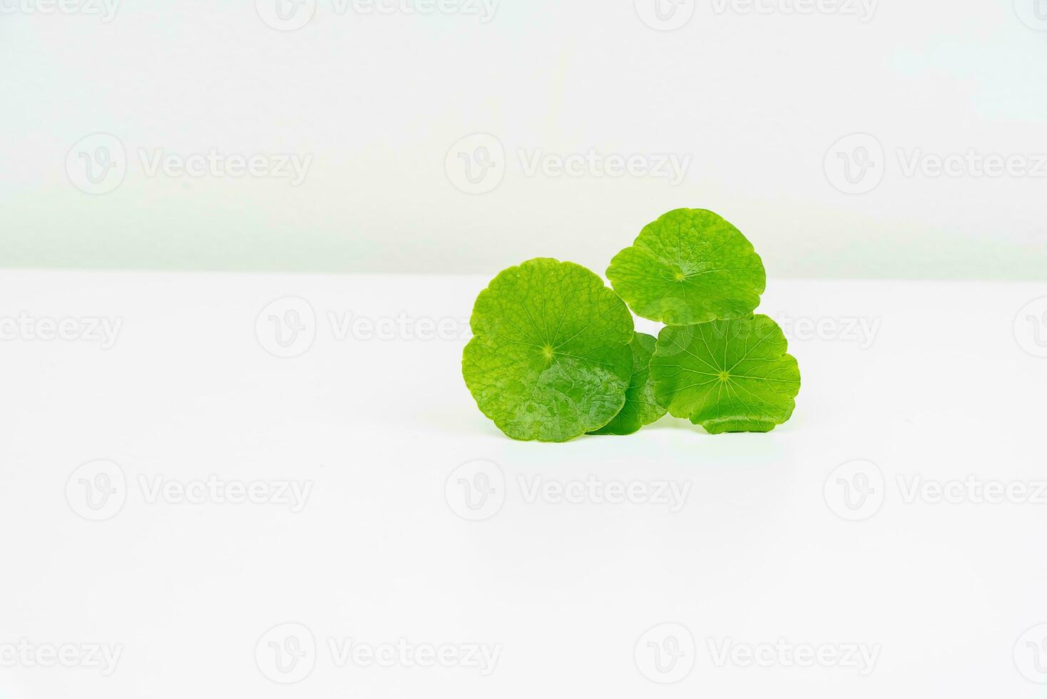 ein Glas Becherglas enthält Wasser und Centella asiatica dekoriert mit erlenmeyer Flasche und runden Podium foto