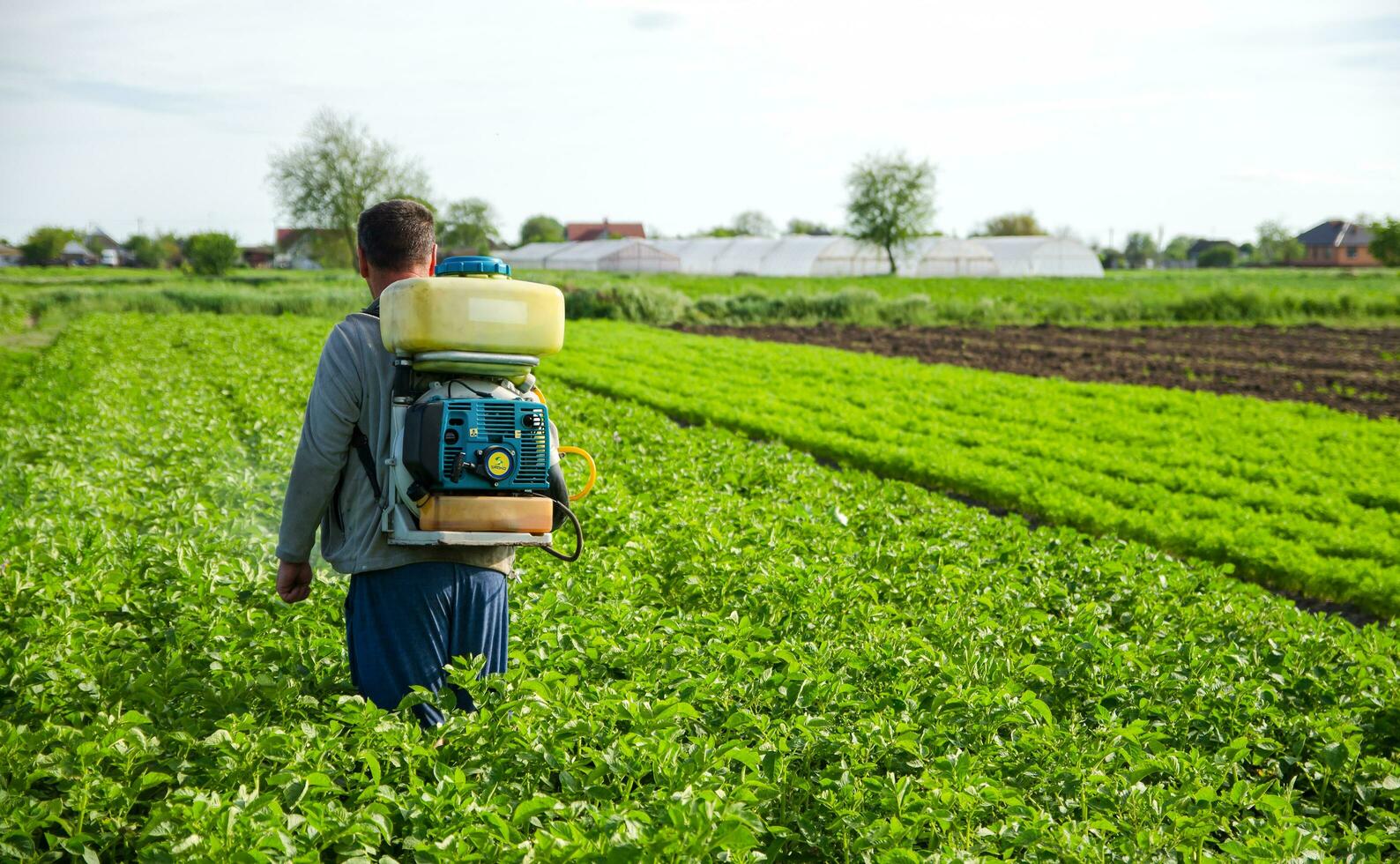 Cherson Oblast, Ukraine - - kann 22, 2021 Farmer Sprays Pestizide auf Plantage. verwenden Chemikalien zum Pflanze Schutz von Insekten und Pilz- Infektionen. Landwirtschaft Industrie. Pestizide und Fungizide. foto
