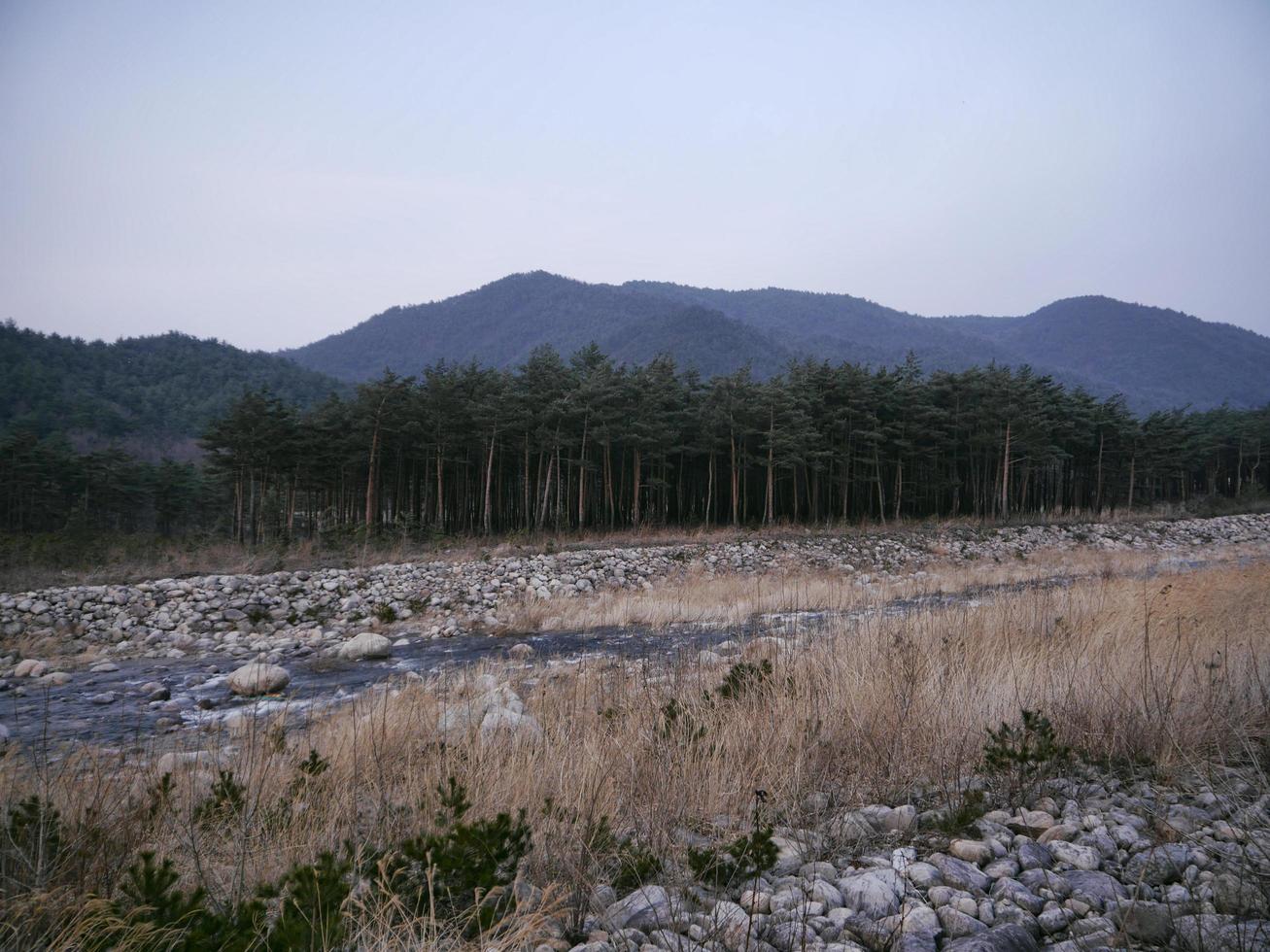 Bergfluss in den Bergen von Seoraksan. Südkorea foto