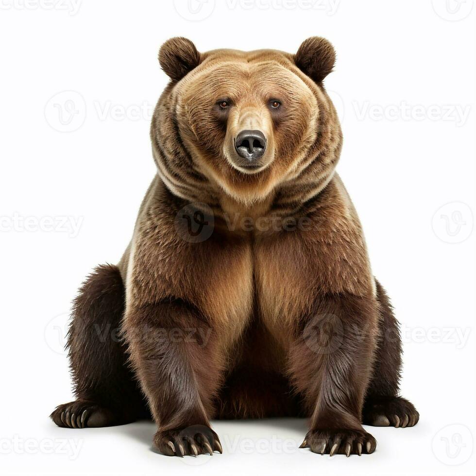 schön wild Tier Bär suchen nach vorne ist gezeigt im voll Länge, ai generiert foto