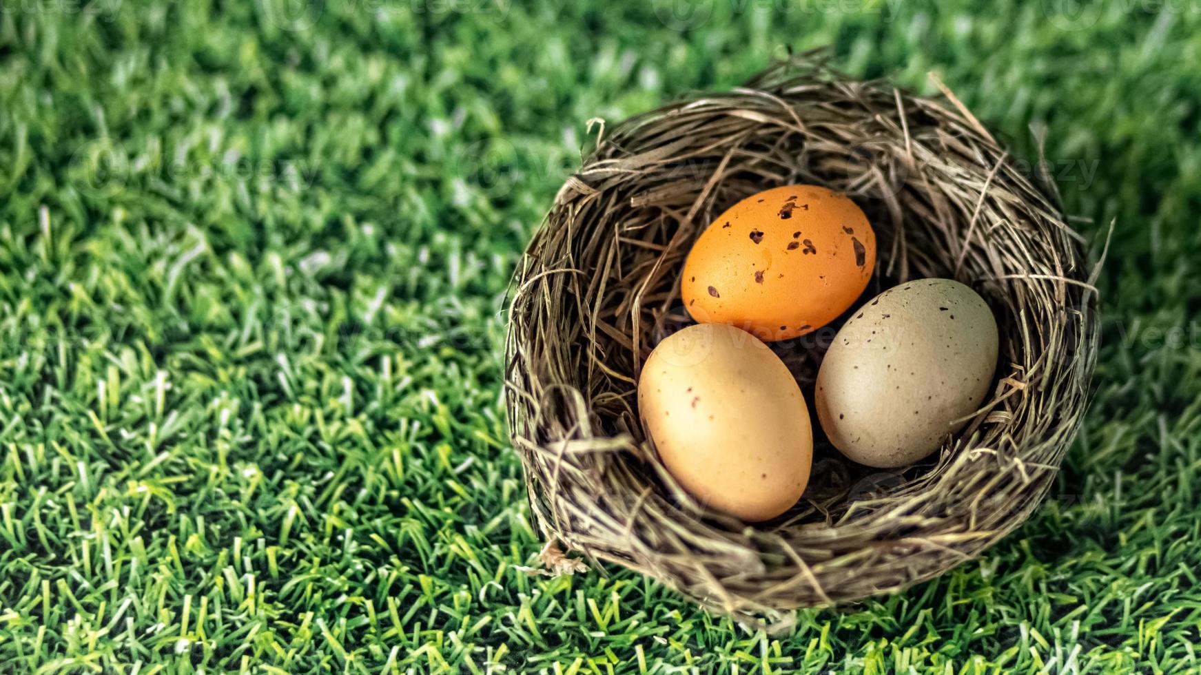 Ostereier in einem natürlichen Nest auf grünem Hintergrund mit Grasstruktur foto