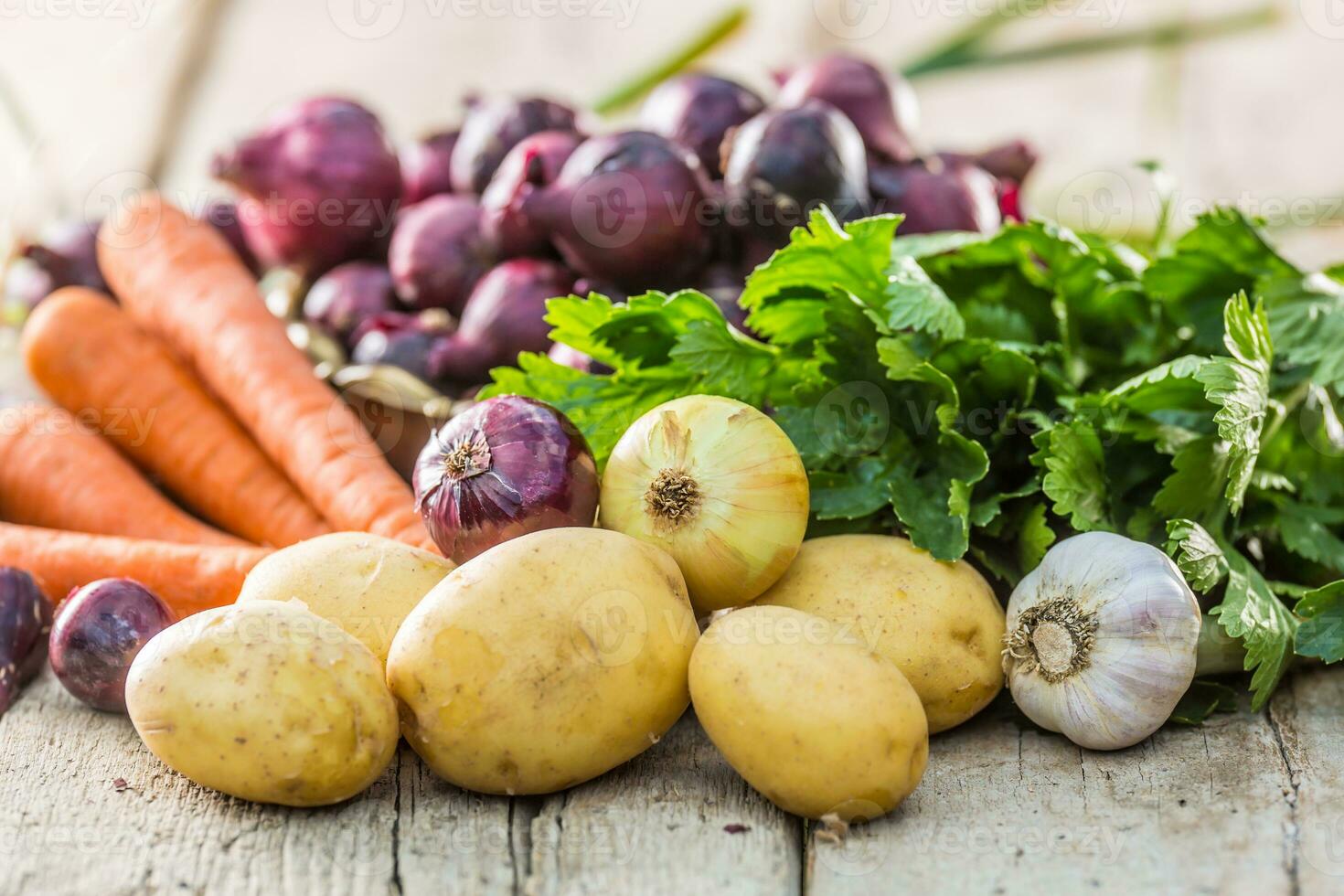 rot Zwiebel im Bronze- Schüssel Knoblauch Karotte Kartoffeln Sellerie Kräuter und Kohlrabi auf Garten Tisch. Nahansicht frisch gesund Gemüse foto