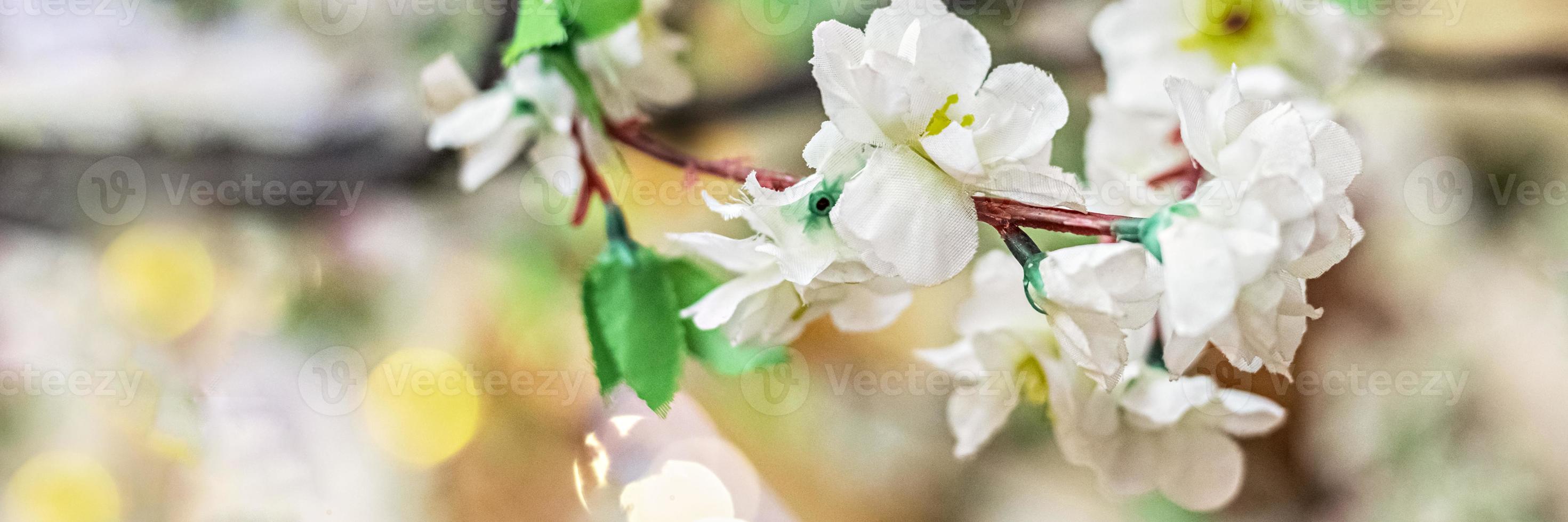 Zweige mit weißen Sakura-Blüten auf unscharfem Hintergrund foto