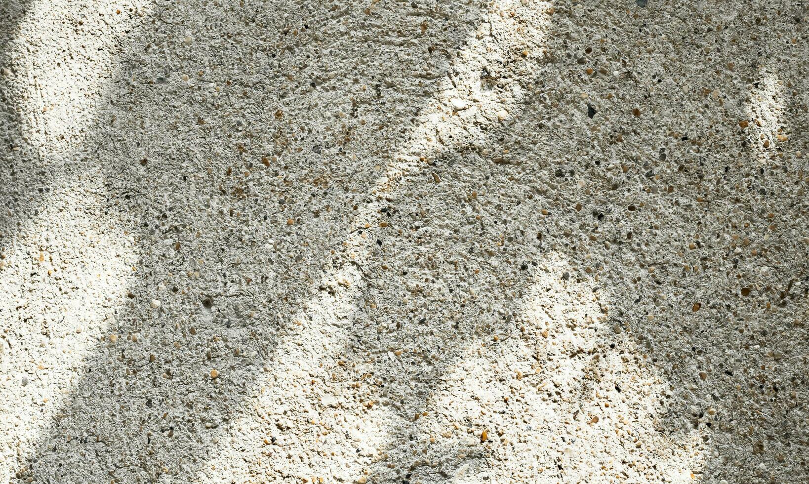 Rau Textur Zement Mauer mit Schatten Blätter und Sonnenlicht bewirken auf Hintergrund, nah oben Schuss körnig abstrakt Textur von gerendert Mauer mit winzig Felsen Steine, trocken Zement Rendern Oberfläche foto