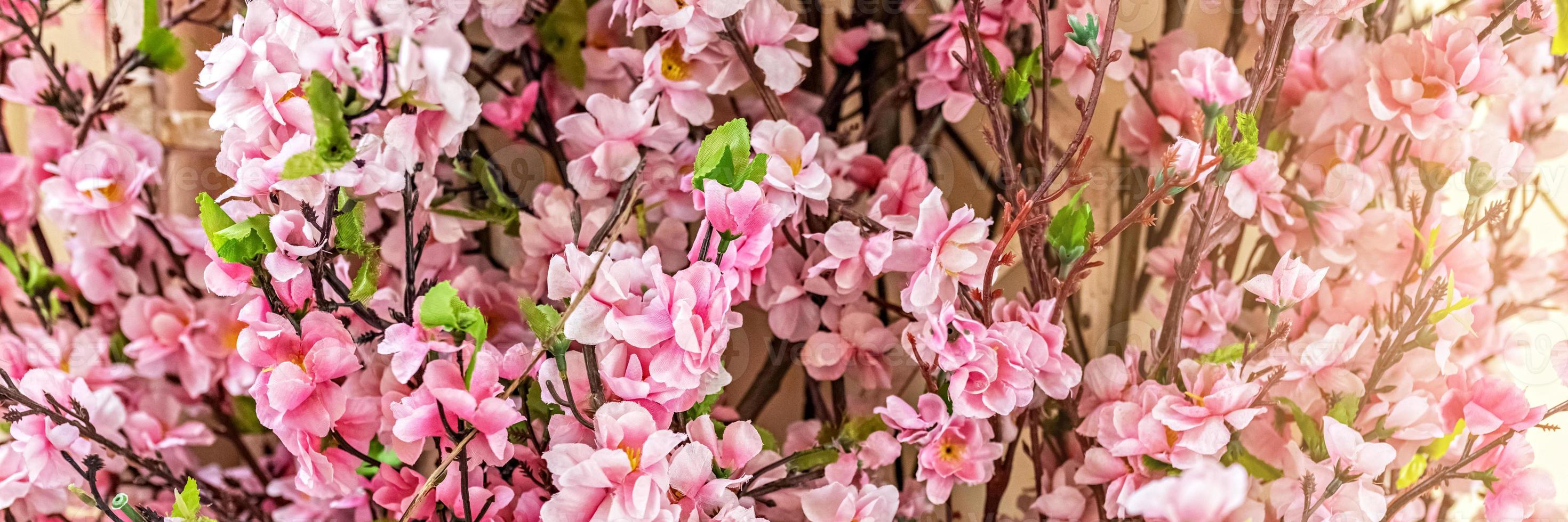 Zweige mit rosa Sakura-Blüten auf unscharfem Hintergrund foto