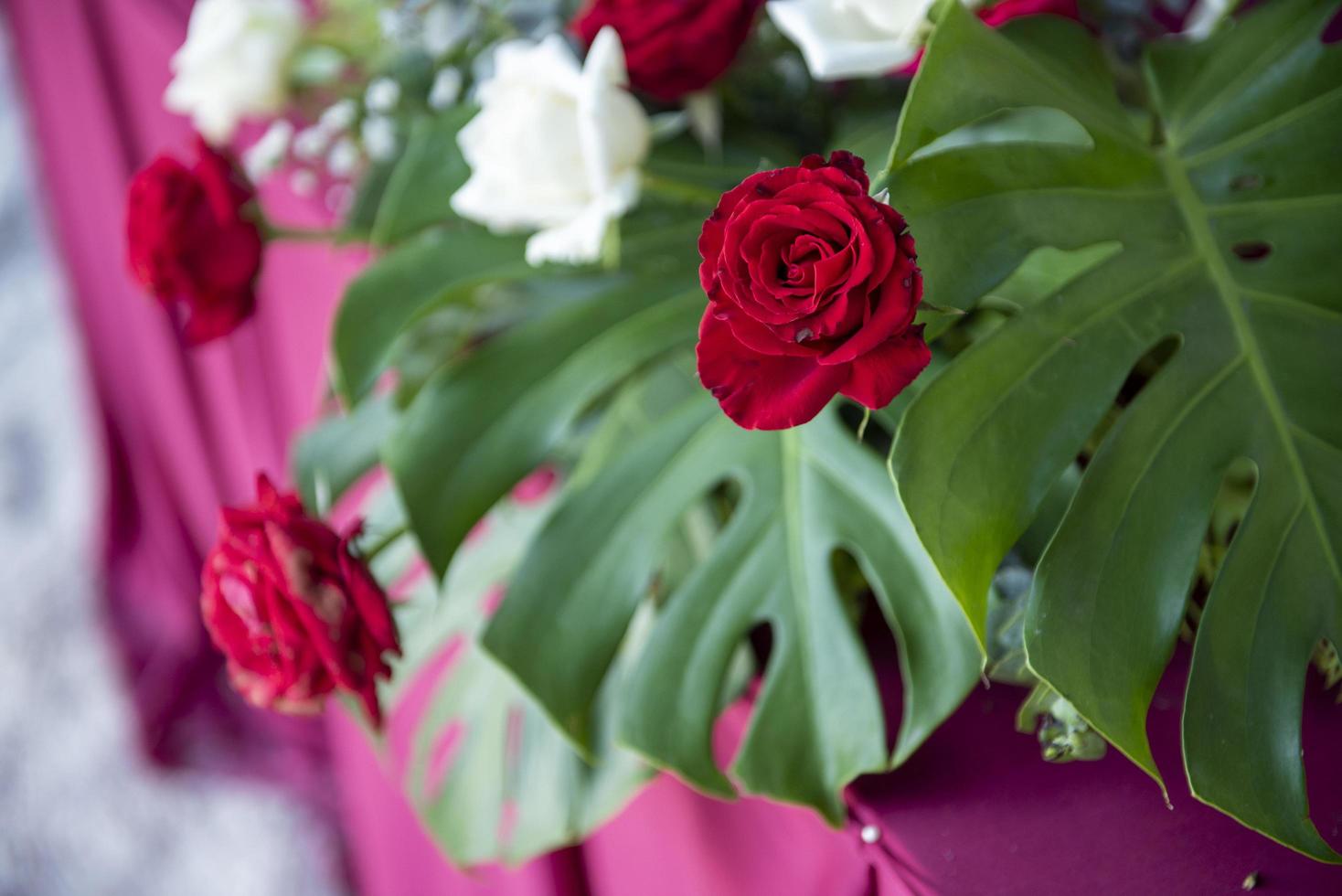 weiße Hochzeitsdekoration und Rosenblüte foto