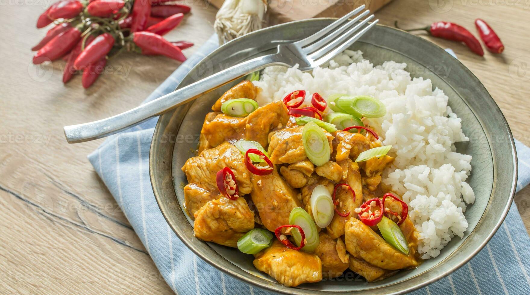 Hähnchen Curry Reis Chili und jung Zwiebel im Schüssel foto