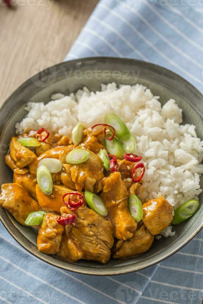 Hähnchen Curry Reis Chili und jung Zwiebel im Schüssel foto