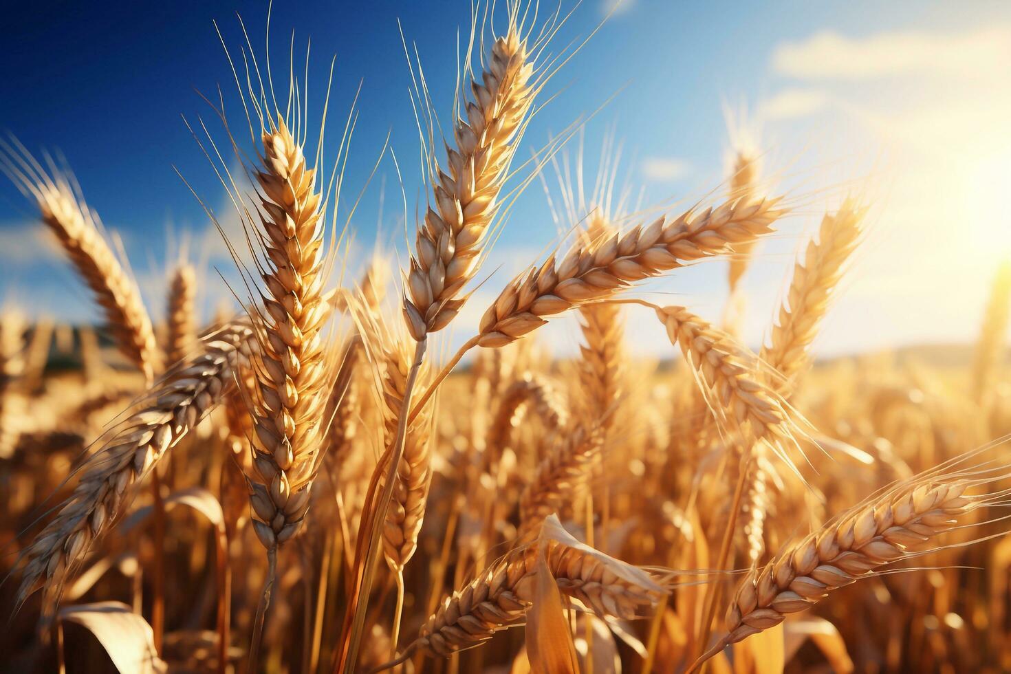 Bild von Weizen Feld mit Blau Himmel Weizen Feld unter das Sonnenlicht. generativ ai foto