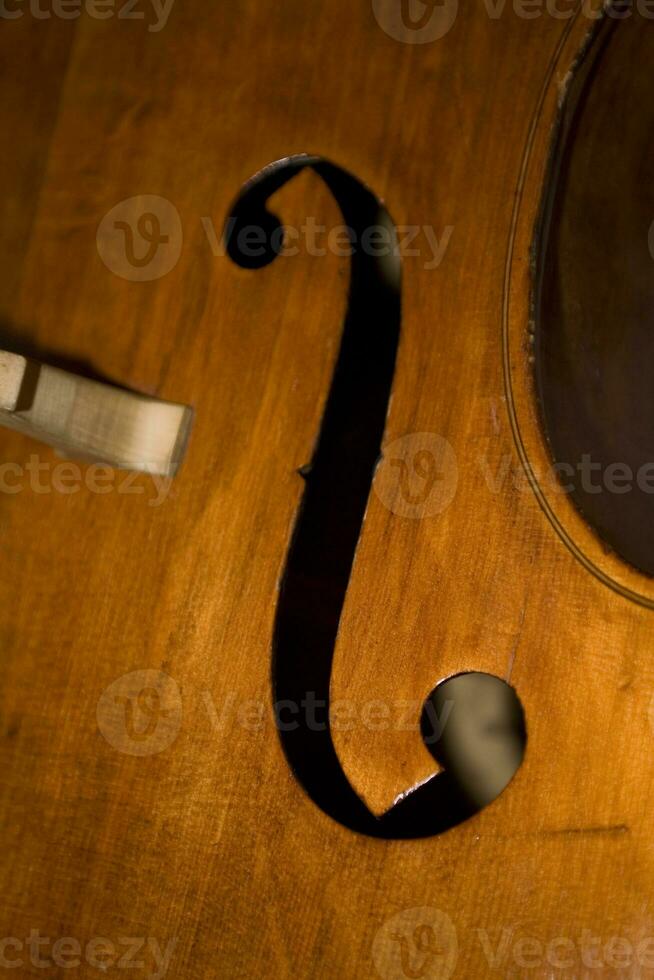 braun doppelt Bass Musical Instrument im Bildung ein Hintergrund foto