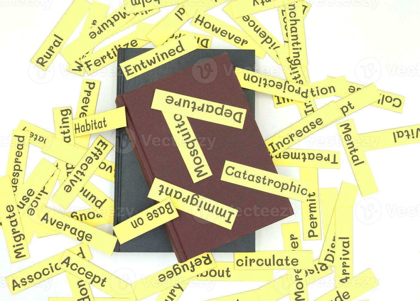 Englisch Wortschatz Karten und Lehrbuch auf Weiß foto