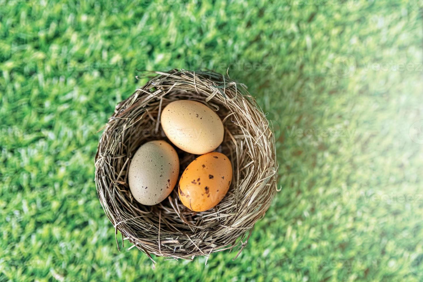 Ostereier in einem natürlichen Nest auf grünem Hintergrund mit Grasstruktur foto