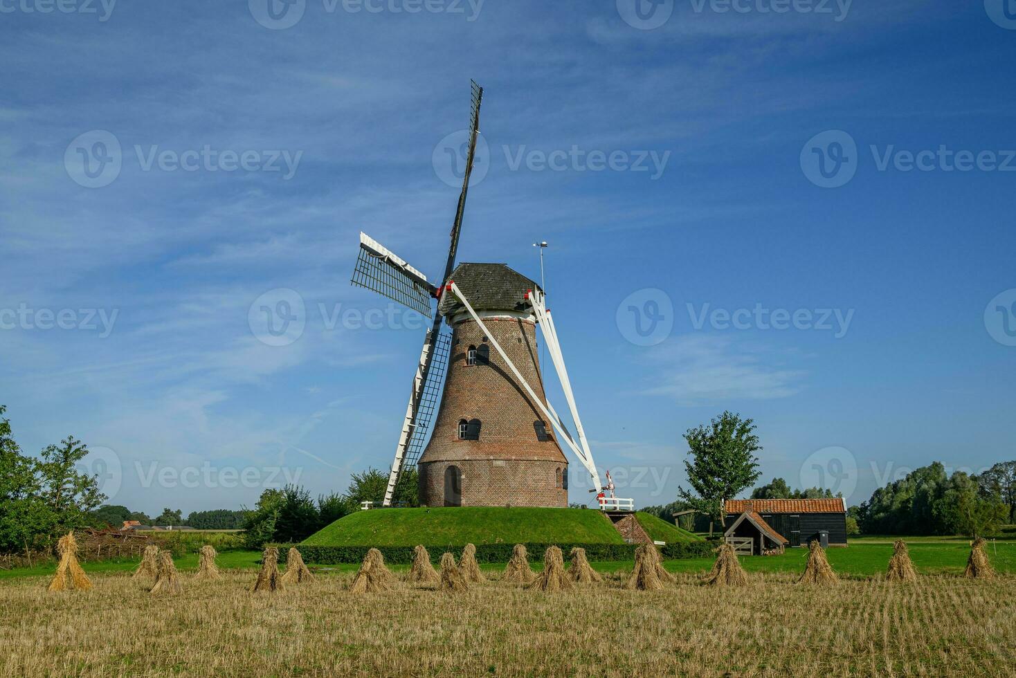 Sommer- Zeit im das Deutschland Westfalen foto