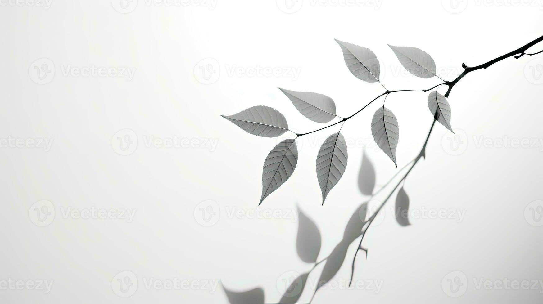 verschwommen schwarz und Weiß Schatten von das belaubt Baum auf ein grau Hintergrund. Silhouette Konzept foto