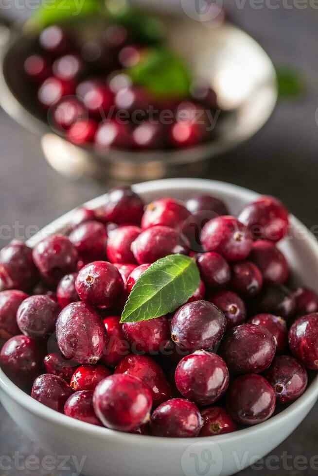 frisch reif Preiselbeeren im Schüssel auf Tabelle Nahansicht foto