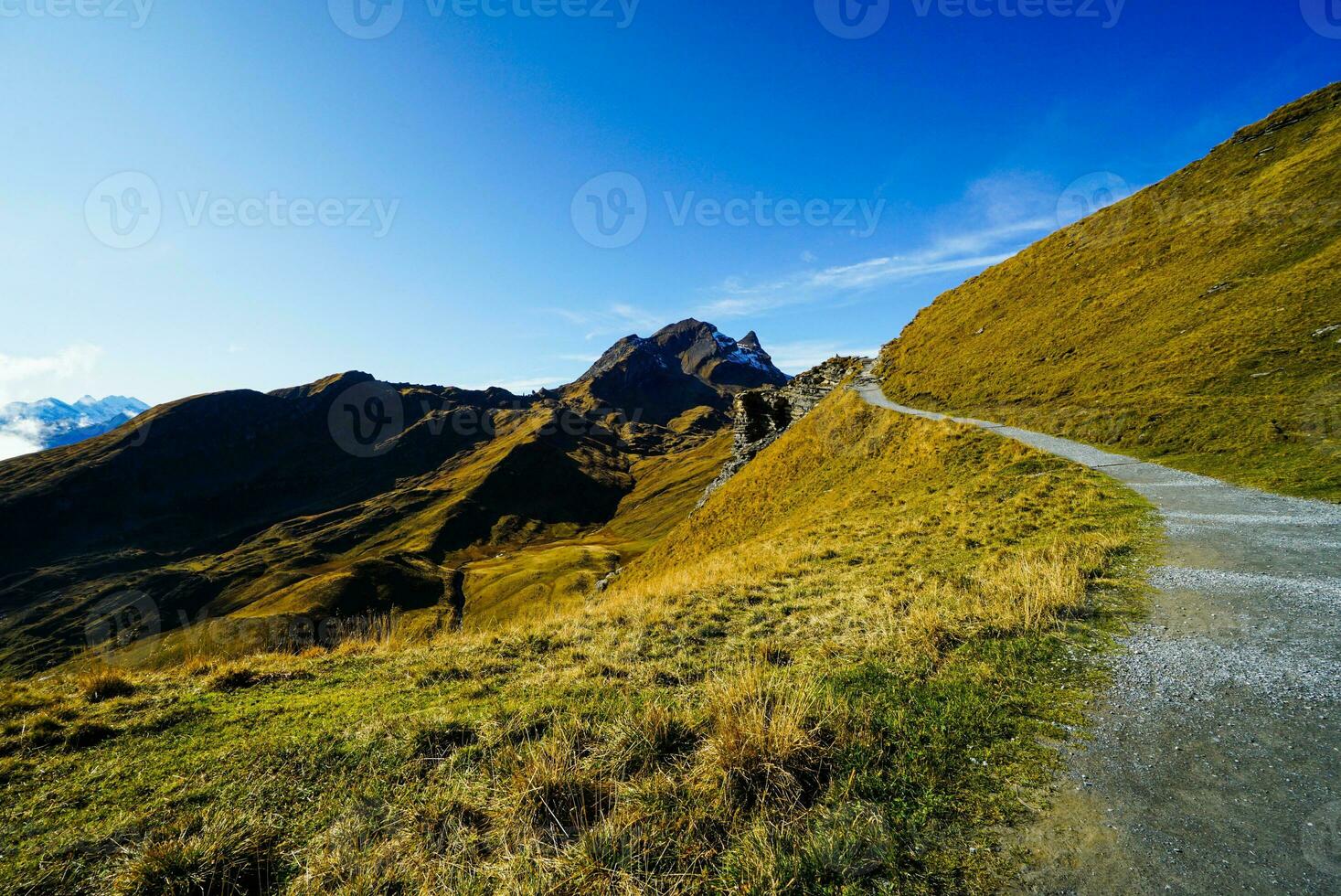 schön Aussicht von Natur Weg im das Morgen, Grindelwald Erste, höchste Spitzen Eiger, Schweiz Alpen. zum Wandern, wandern, Bergsteigen oder Natur gehen Aktivitäten. foto