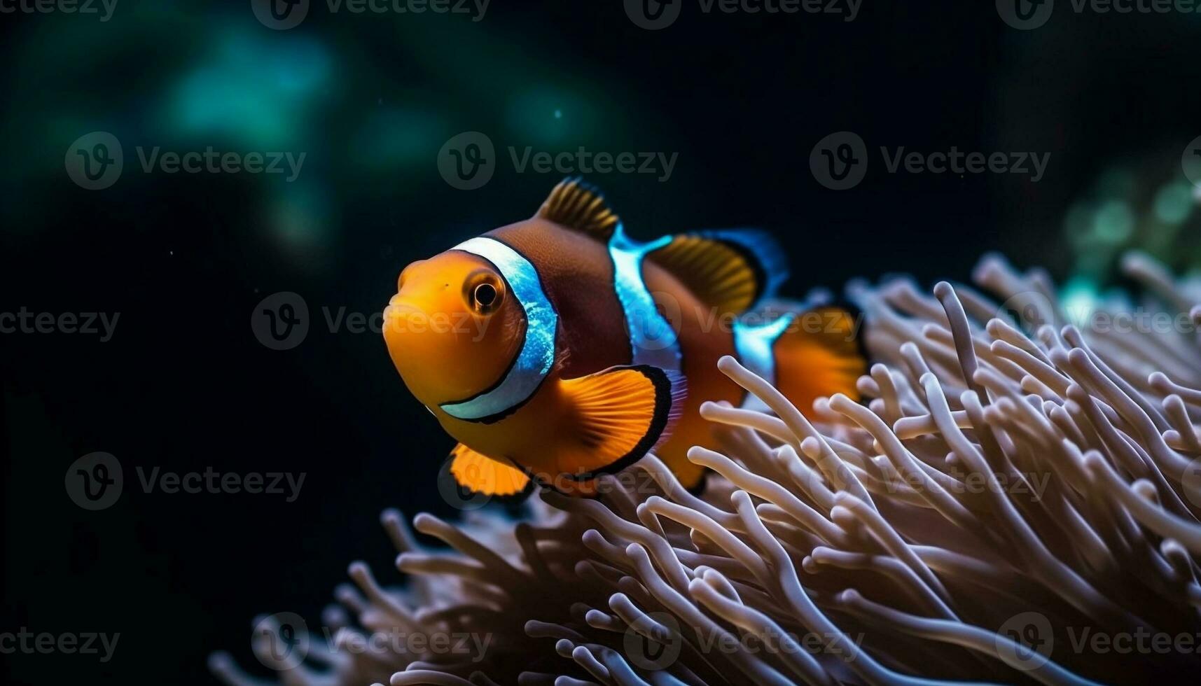 Clown Fisch Schwimmen im beschwingt Blau Riff, unter Wasser Schönheit gefangen generiert durch ai foto