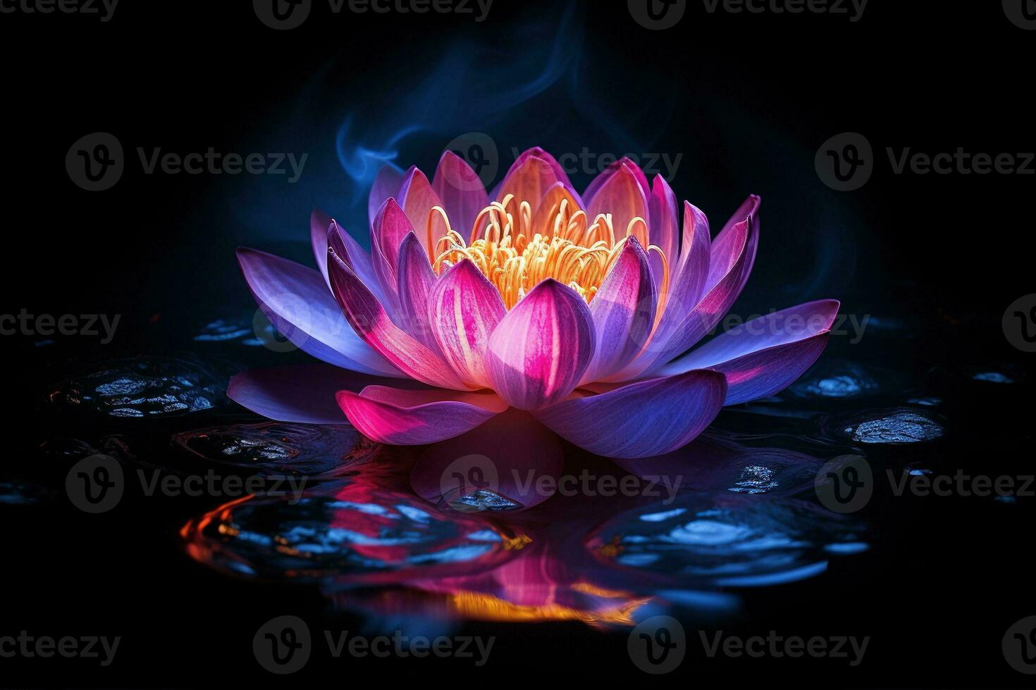 schön Rosa Wasser Lilie oder Lotus Blume auf dunkel Hintergrund ai generiert foto