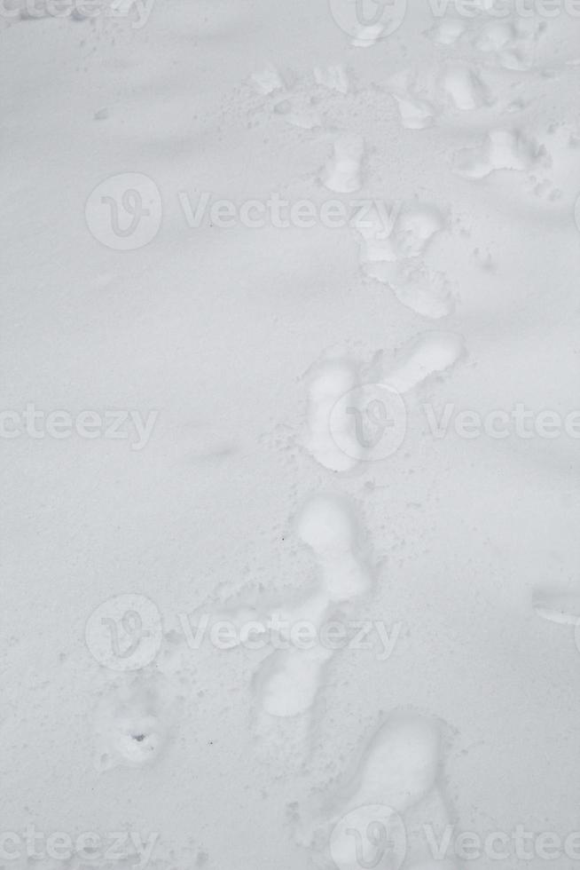 Fußabdrücke im Schnee foto