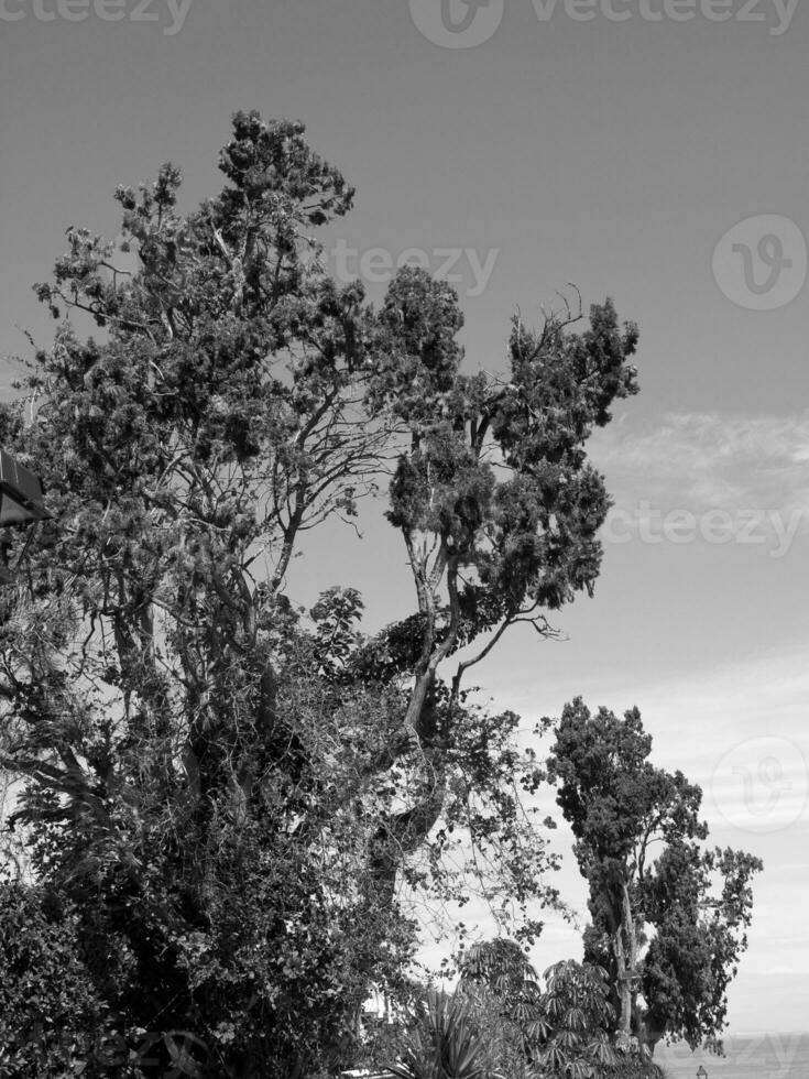 Teneriffa Insel im Spanien foto