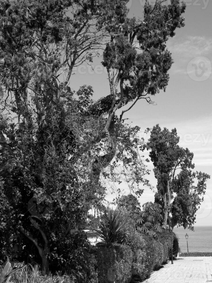 Teneriffa Insel im Spanien foto