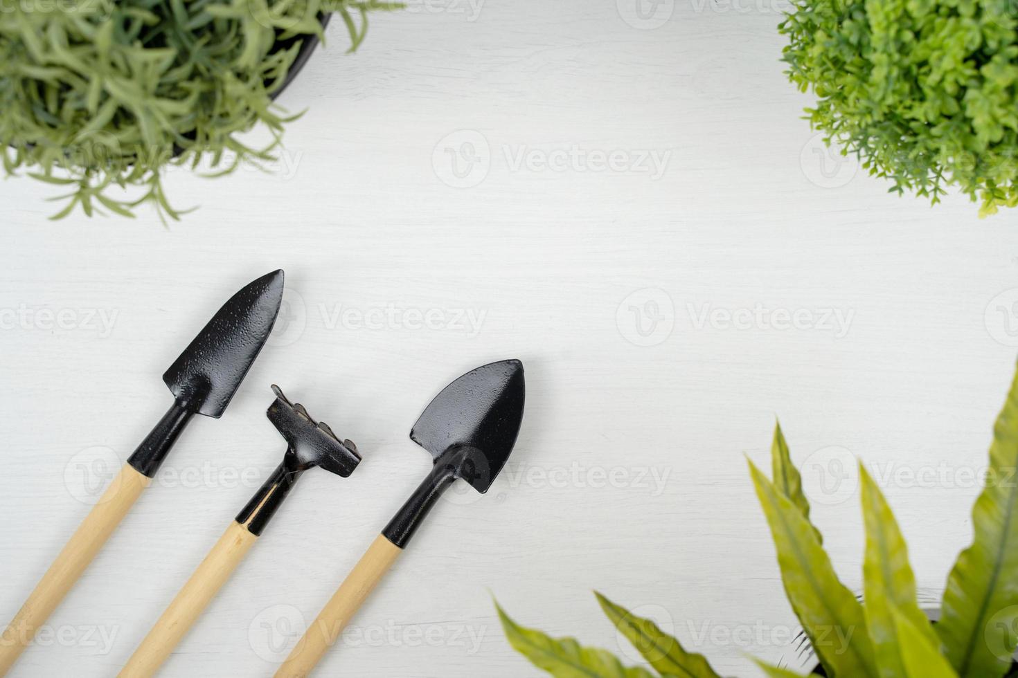 Gartengeräte und kleiner künstlicher Baum auf weißem Hintergrund. Garten arbeitet Konzept. foto