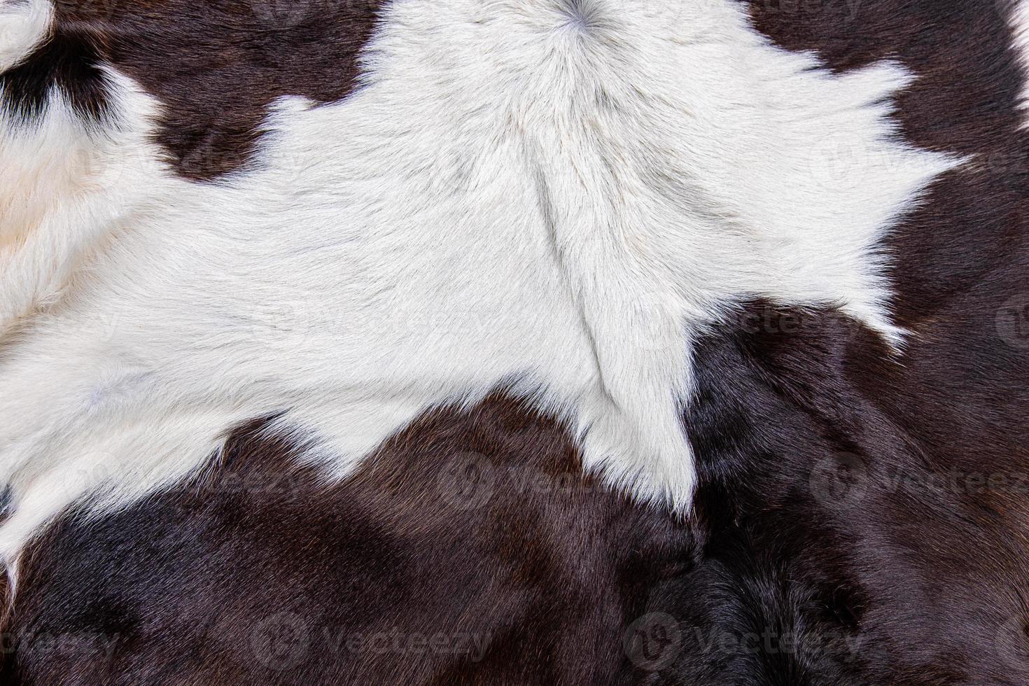 brauner Kuhfellmantel mit Fell schwarz weiß und braunen Flecken foto