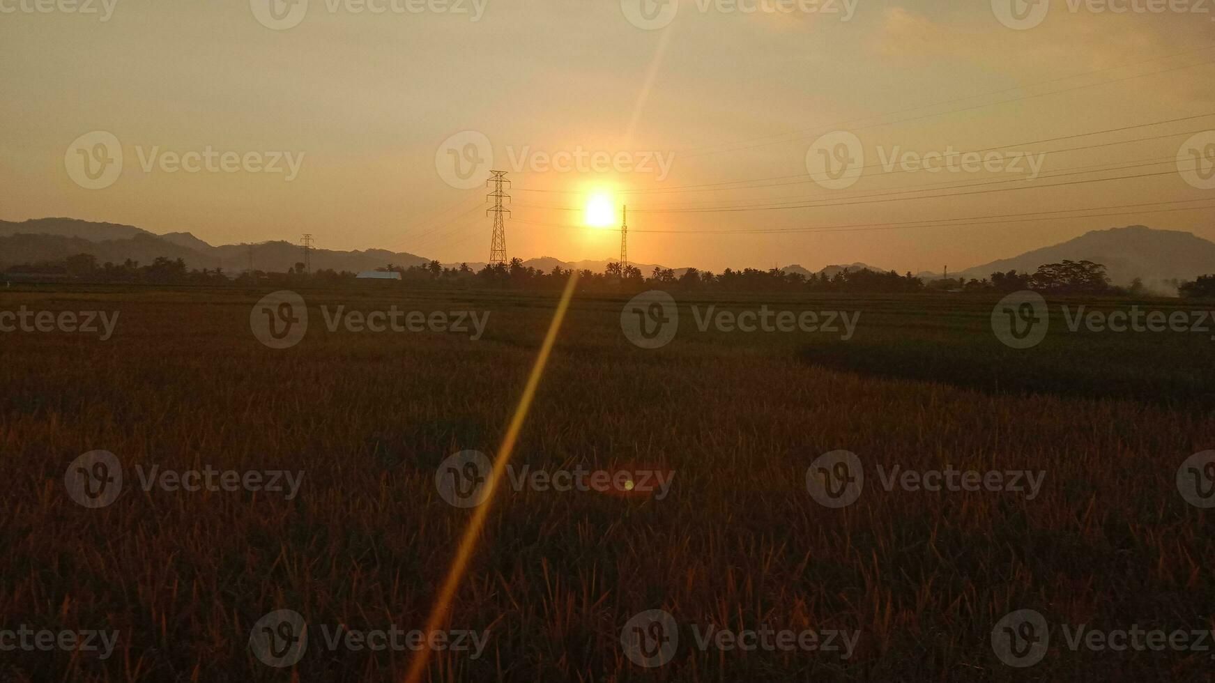 Aussicht von Reis Felder und Berg foto