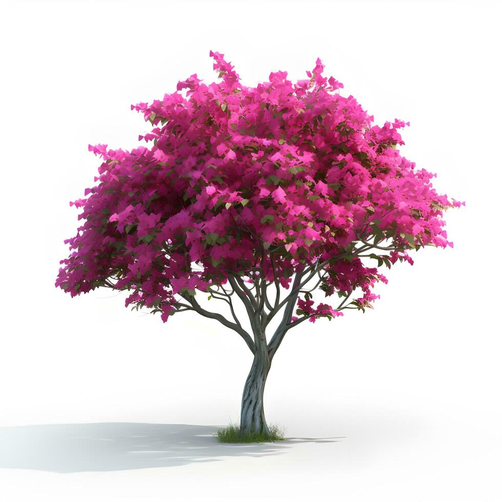 Bougainvillea Blume oder Rosa Blume. ai generisch foto