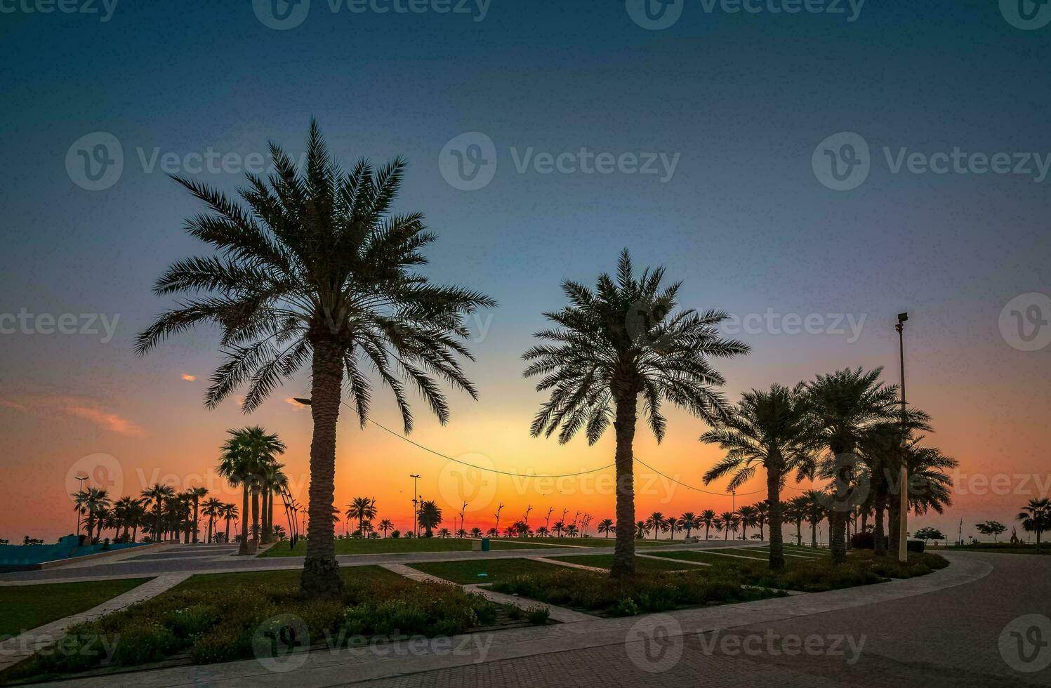 tropisch Meer Sonnenuntergang Baum Himmel Aussicht Hintergrund foto