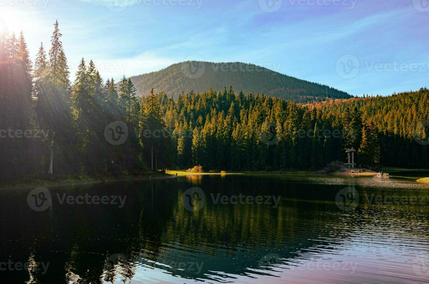 sehr schön Landschaft von das See. Grün Tanne Bäume gegen das Hintergrund von ein schön See. foto