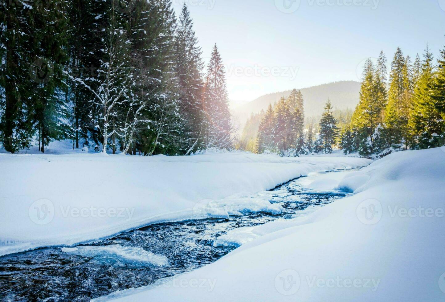 Fluss Schlucht. Berg Fluss Strom im Winter. das Kiefer Bäume sind bedeckt mit Schnee. schön Landschaft mit Schnee foto