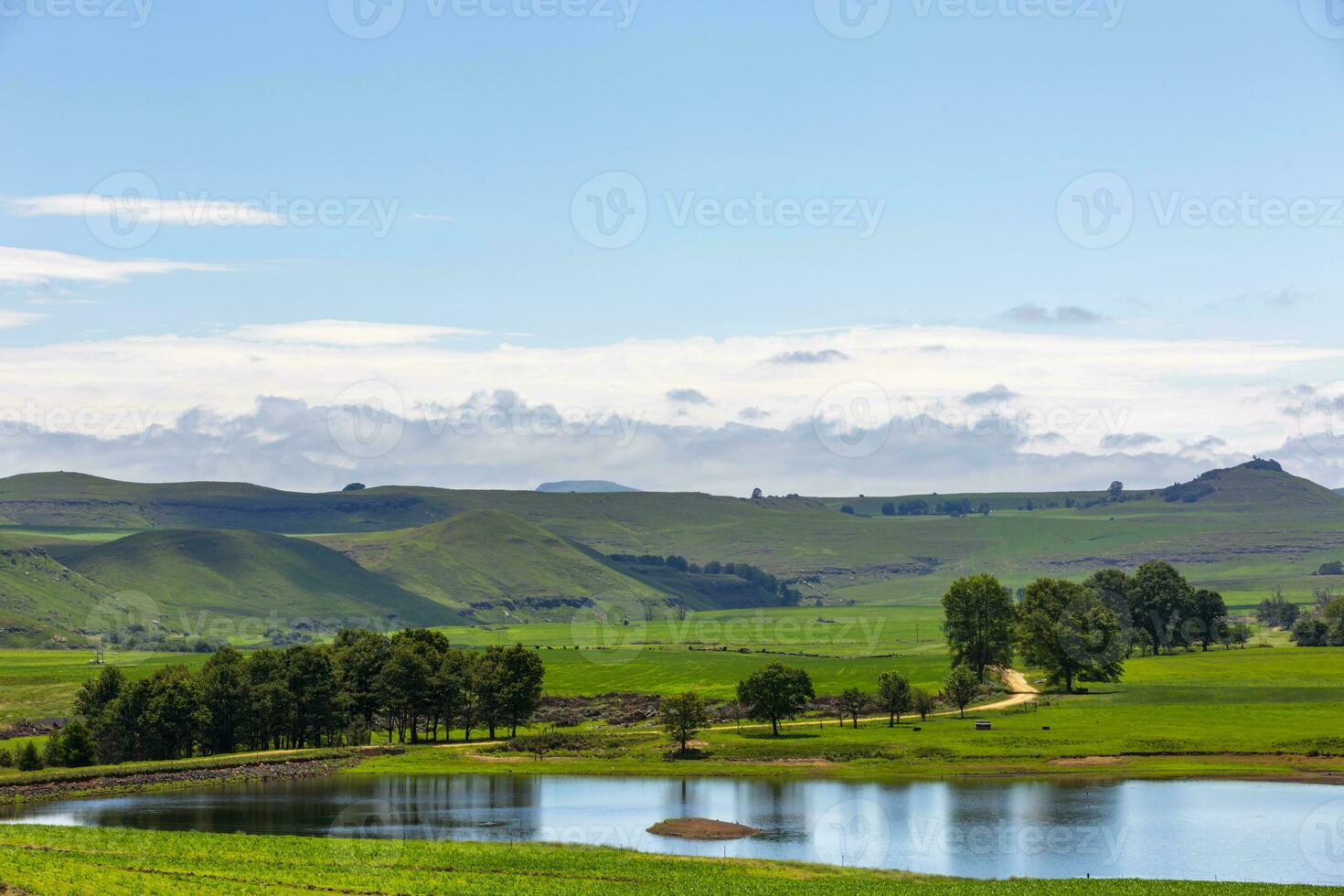 Wasser umgeben durch Grün Gras foto