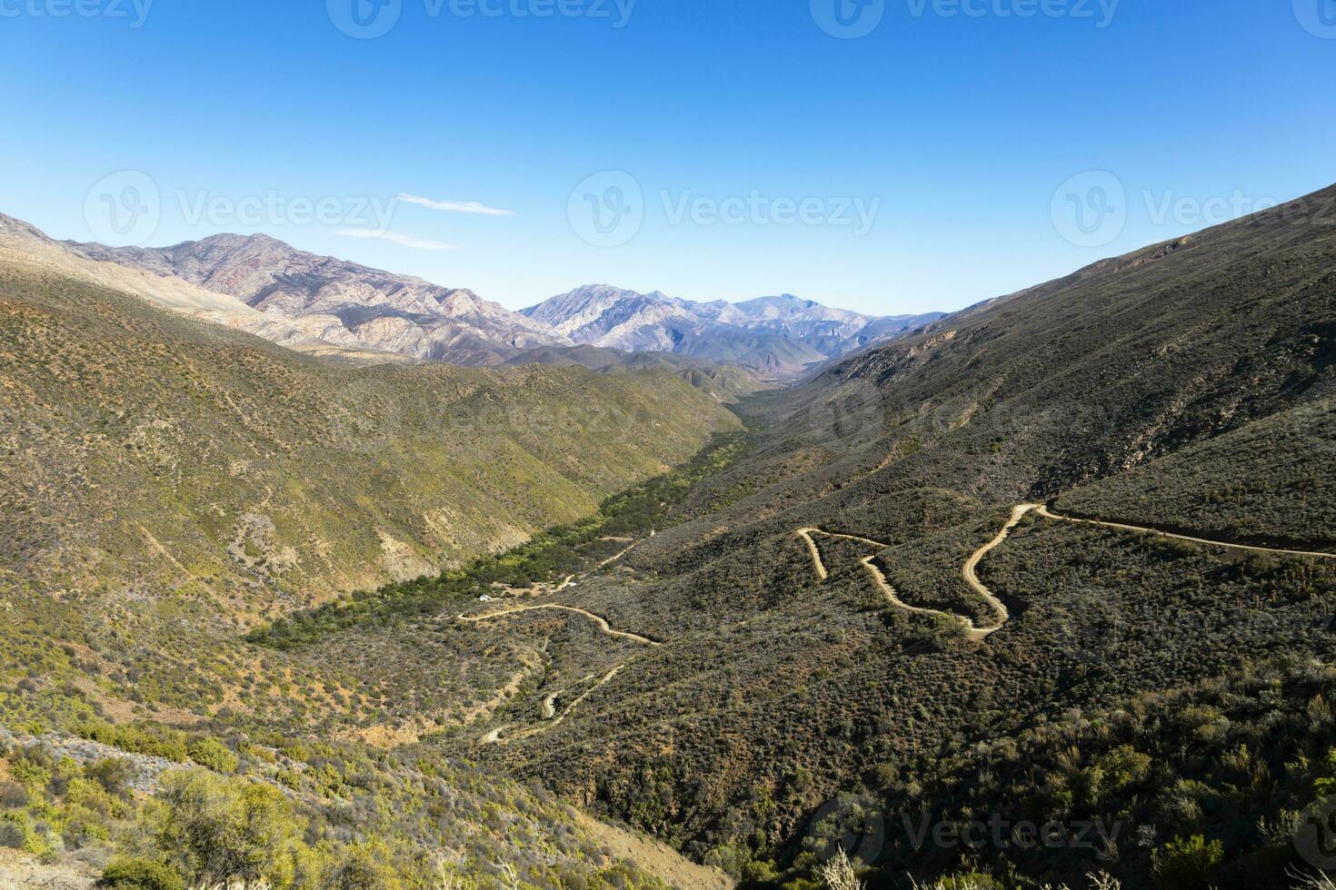 Eland bestehen gehen Nieder im gamkaskloof foto