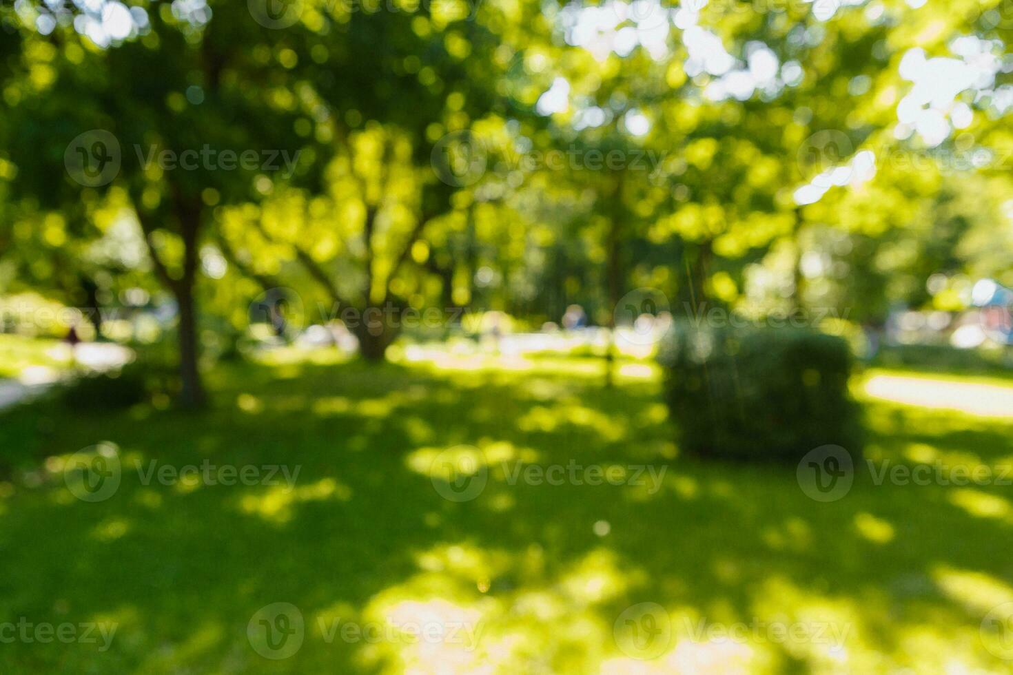 verschwommen Park Hintergrund, hell Sonne im das Nachmittag foto