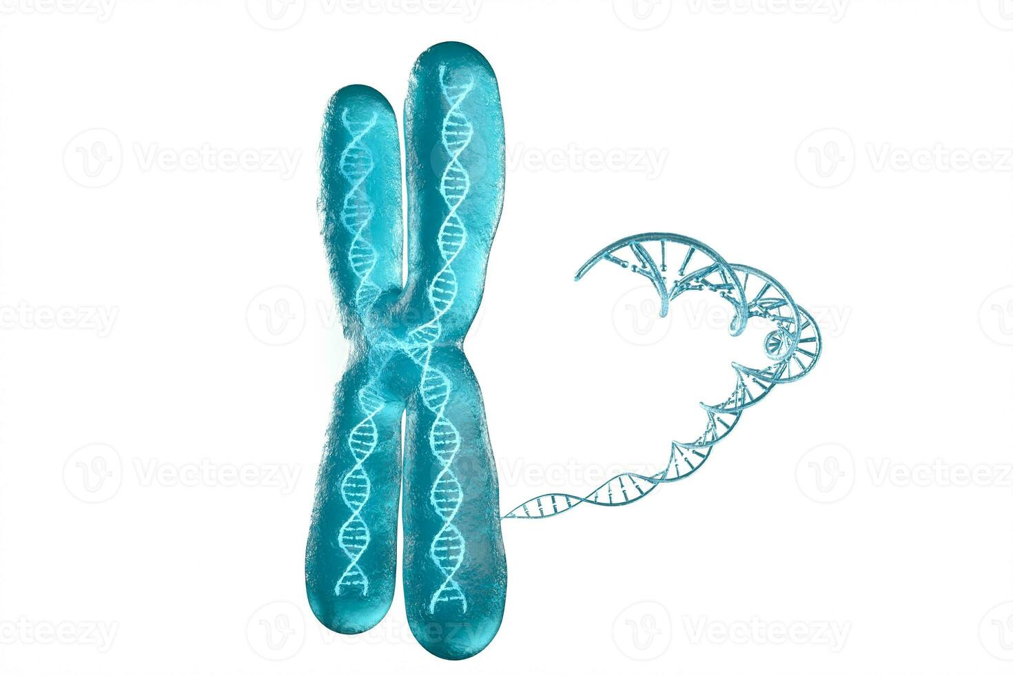 Chromosom mit Weiß Hintergrund, 3d Wiedergabe. foto